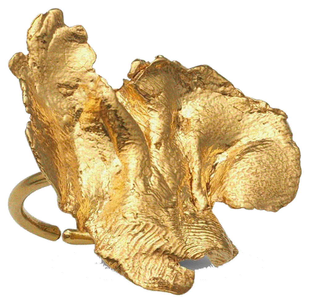 Artemis Ring - Gold Eva Remenyi