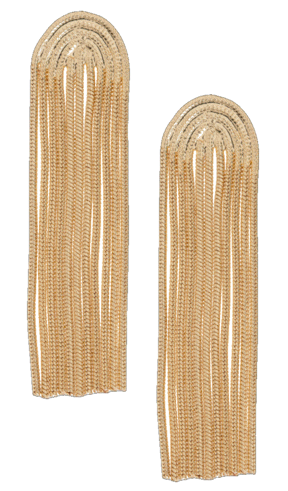 fashion styling garments from best style brands