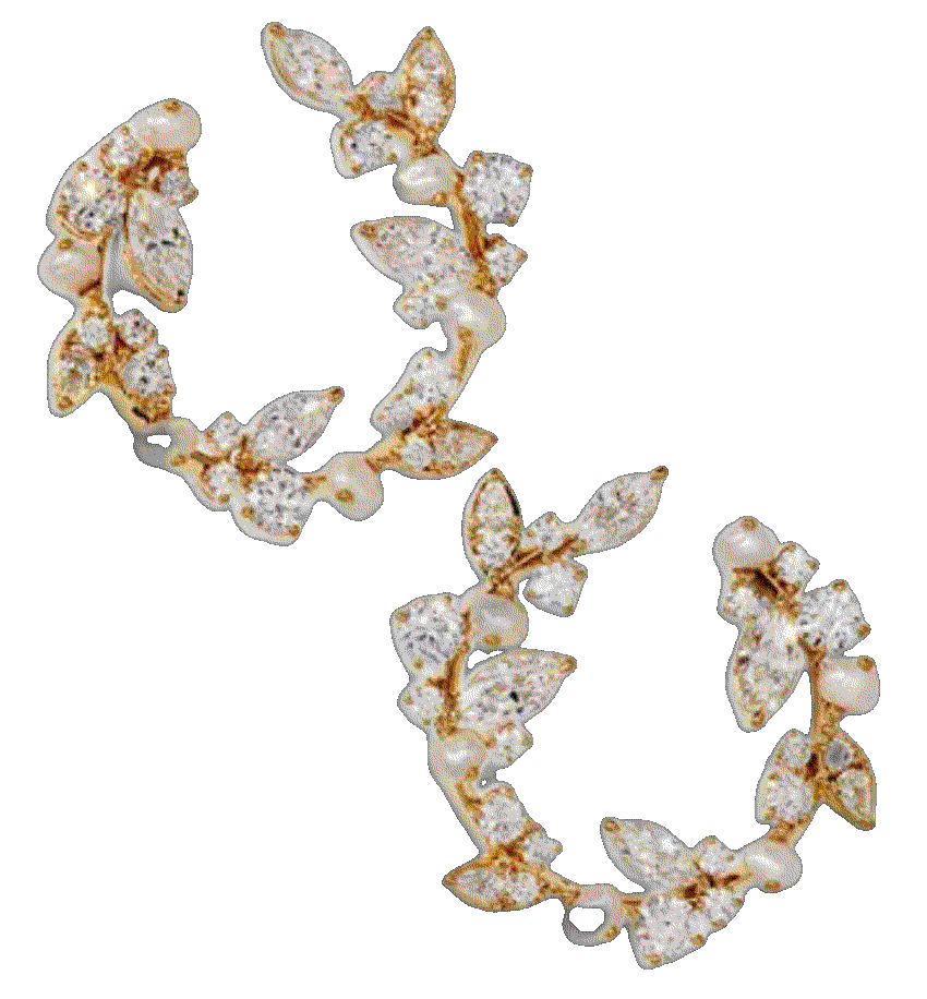 Nadri ravish front to back hoop earrings Nadri