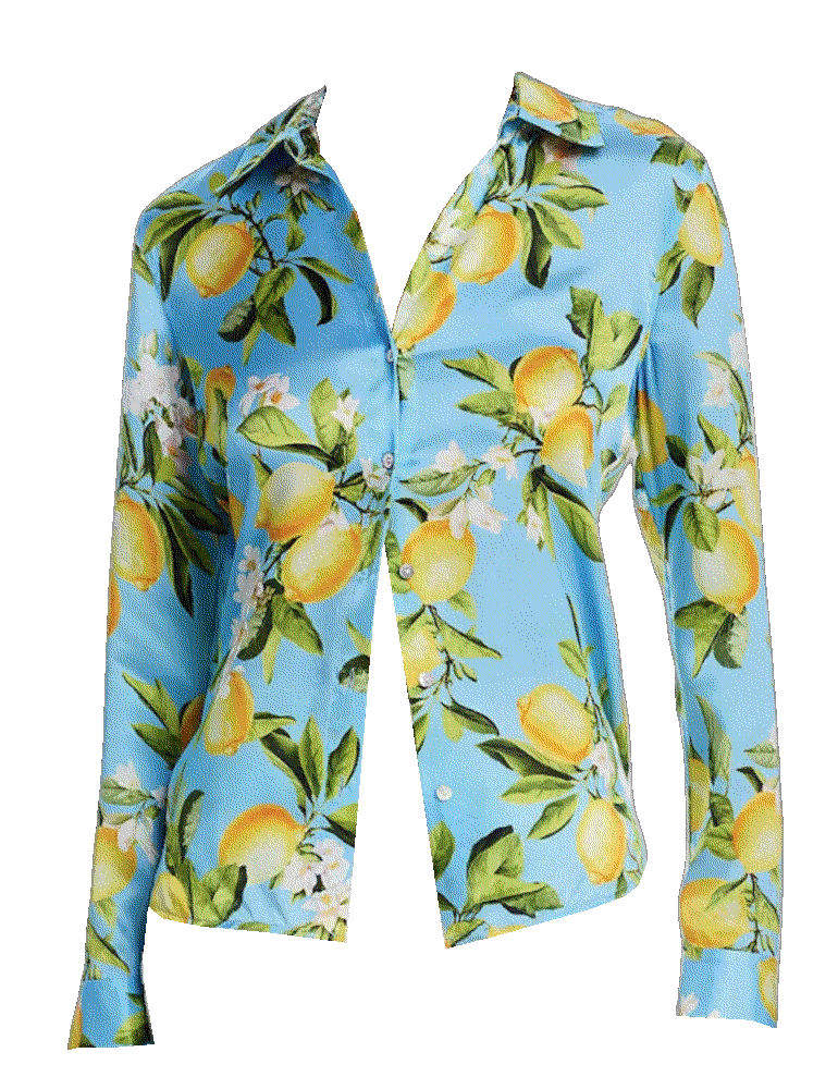 Lagence tyler silk printed long sleeve blouse Lagence