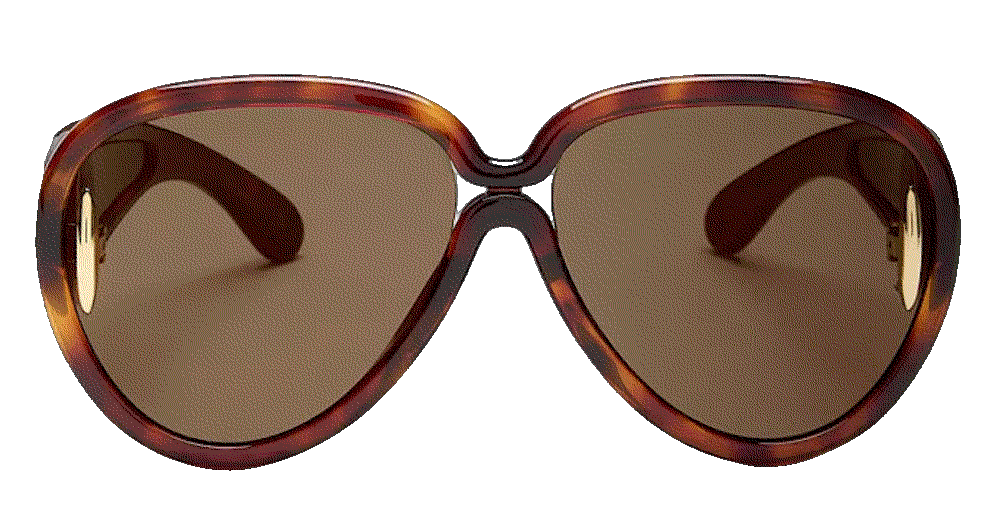 Loewe butterfly sunglasses 65mm Loewe