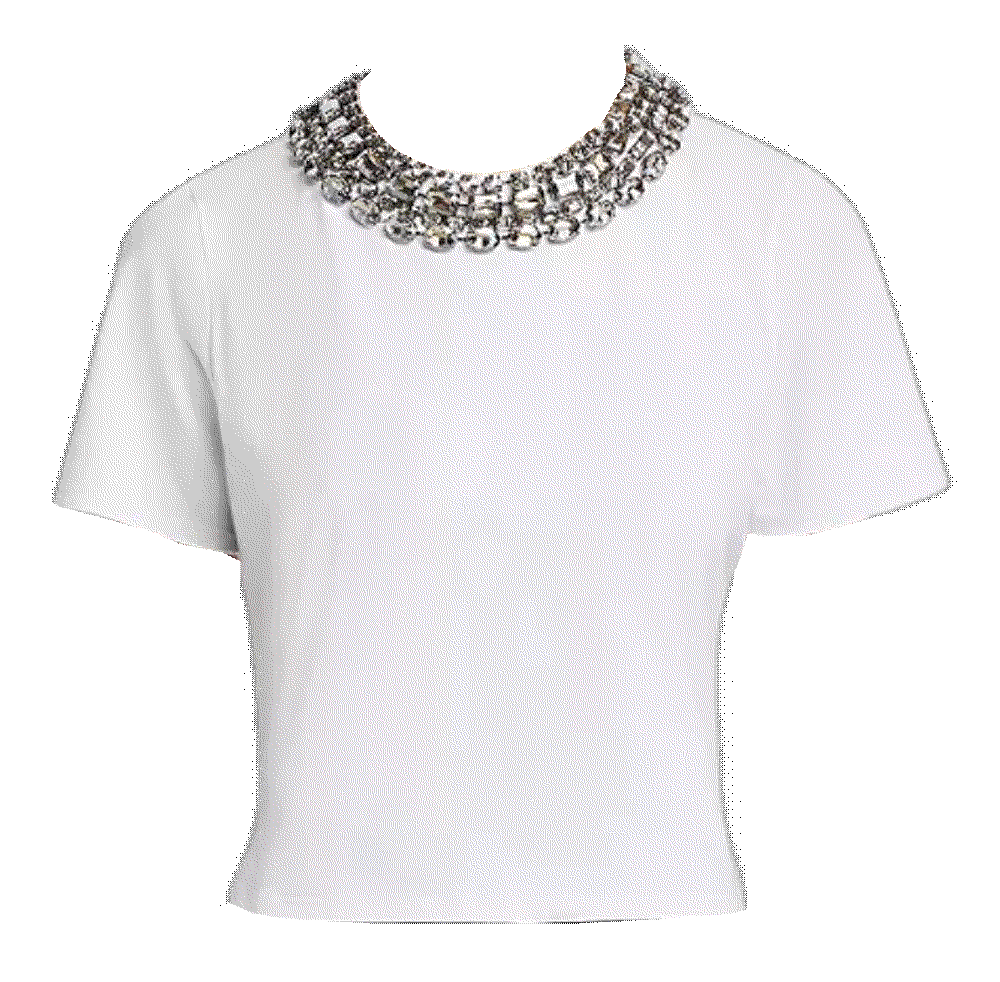 Cinq a sept chunky necklace shrunken tee Cinq A Sept