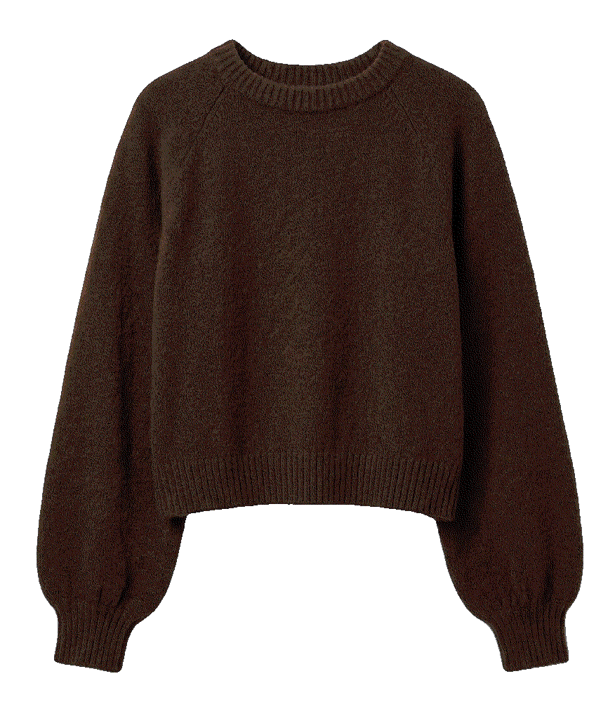 Z supply coming up crewneck sweater Z Supply