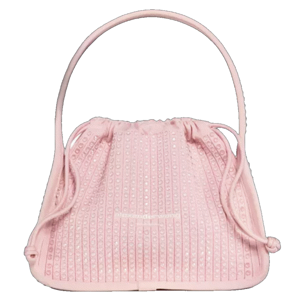 Alexander wang ryan small bag Alexander Wang 