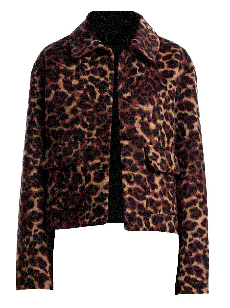Aqua leopard print jacket exclusive Aqua