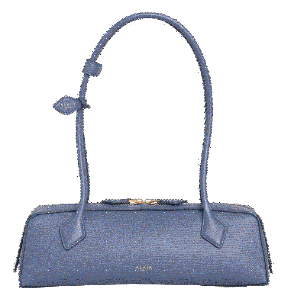 Le teckel medium leather shoulder bag Alaia