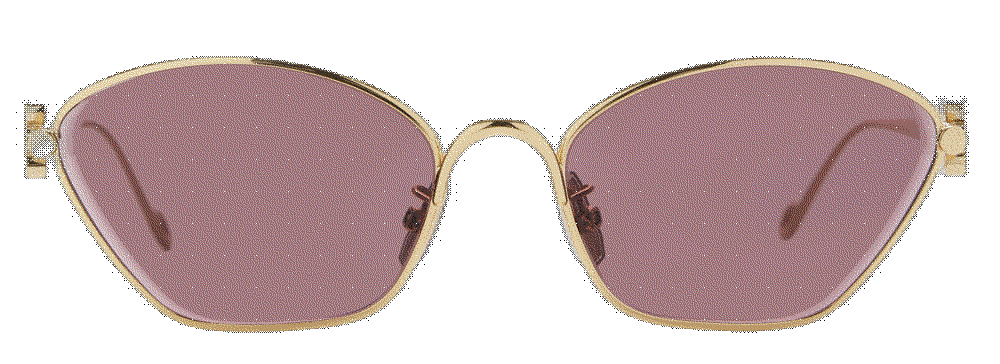 Anagram metal d-frame sunglasses Loewe