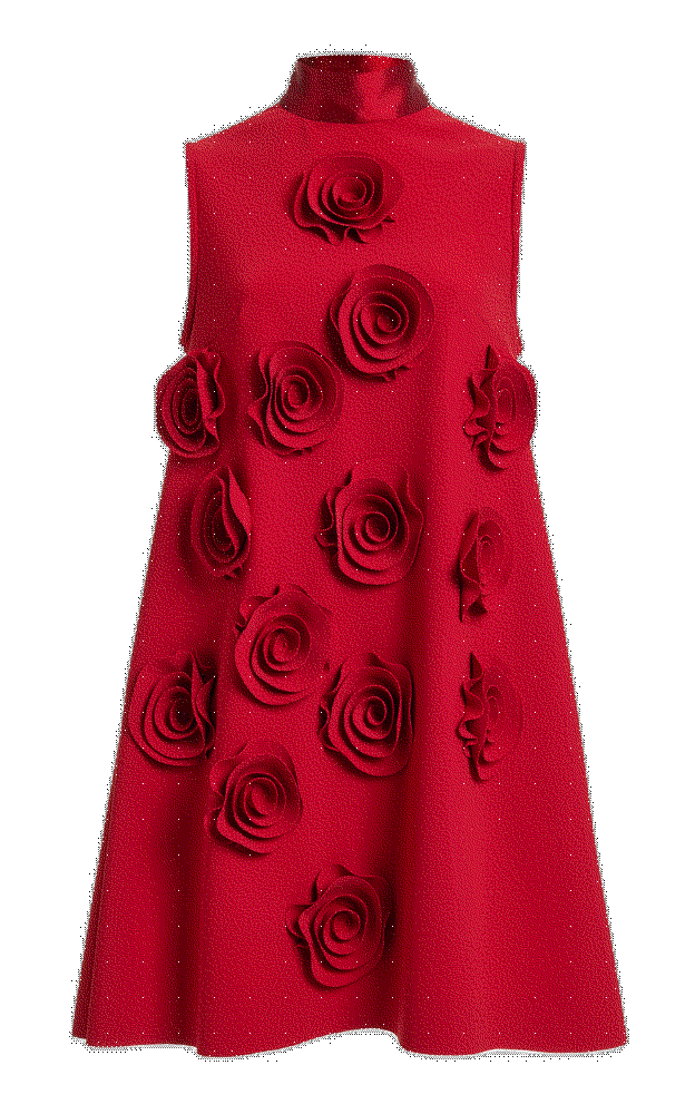 Quince floral-appliqued mini dress Greta Constantine