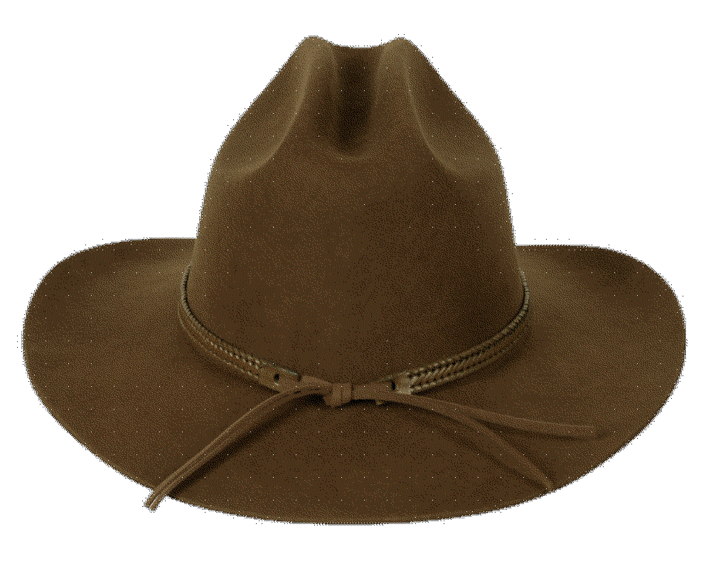 The outback felt cowboy hat Lack Of Color