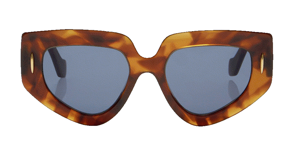 Anagram d-frame acetate sunglasses Loewe