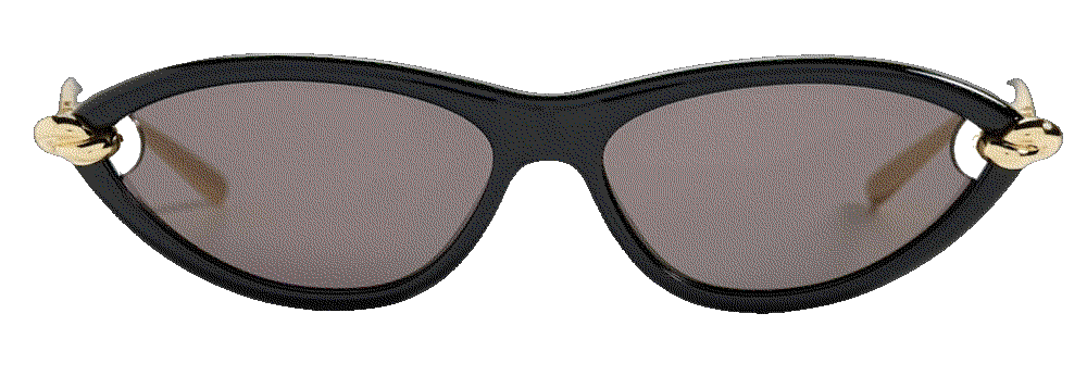 Bottega veneta sunglasses Bottega Veneta