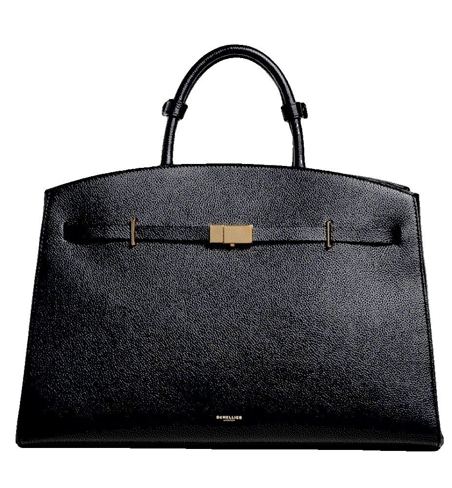 Demellier the hudson DeMellier