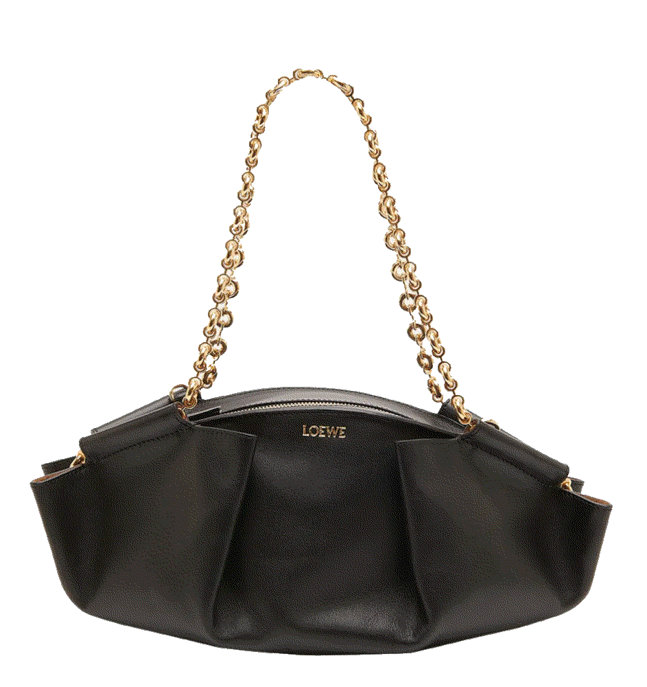 Paseo Small Leather Chain Shoulder Bag Loewe