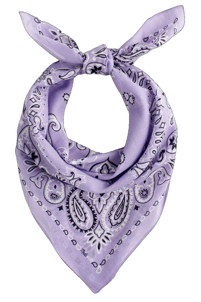Medium Bandana in Cotton Madewell