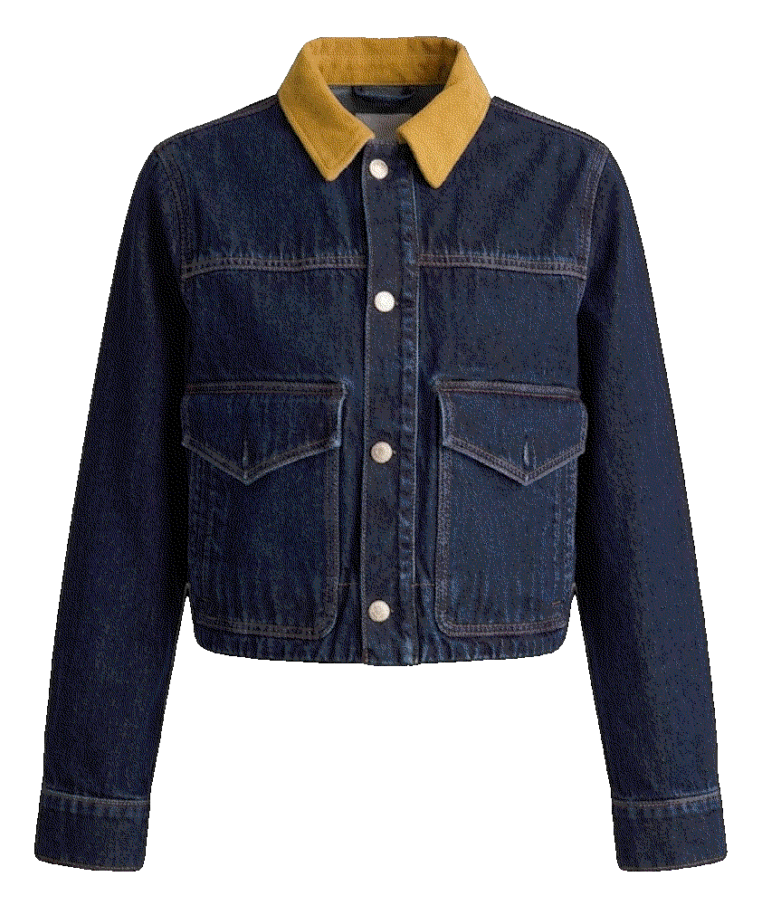 Madewell x benjamin talley smith the allerton denim jacket in wells wash Madewell
