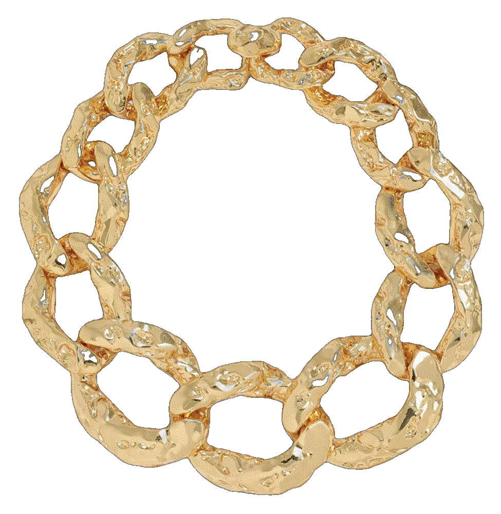 Brut golden curb link necklace Alexis Bittar 