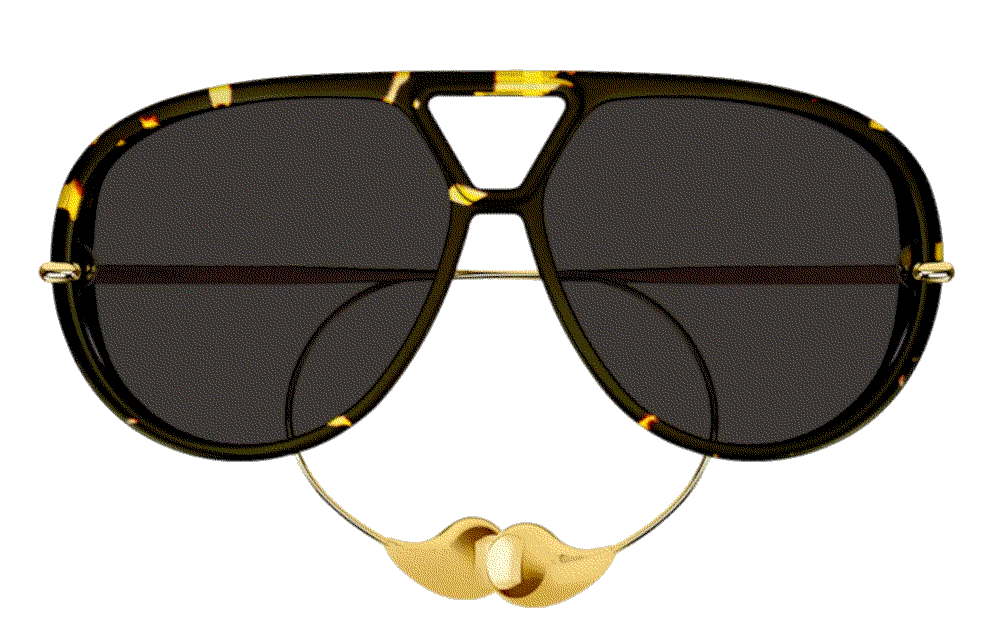 Geometric Acetate & Metal Alloy Aviator Bottega Veneta