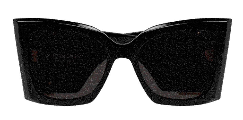 Blaze Acetate Cat-Eye Sunglasses Saint Laurent