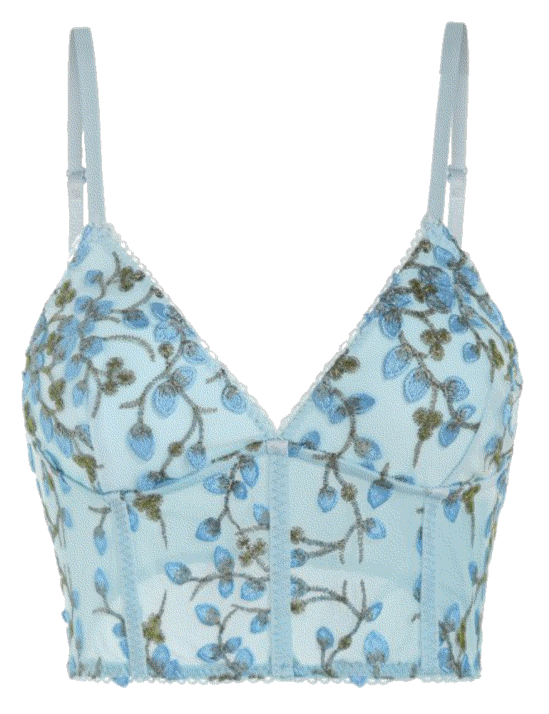 eaf Embroidered Mesh Picot Trim Corset Style Crop Camisole Zaful