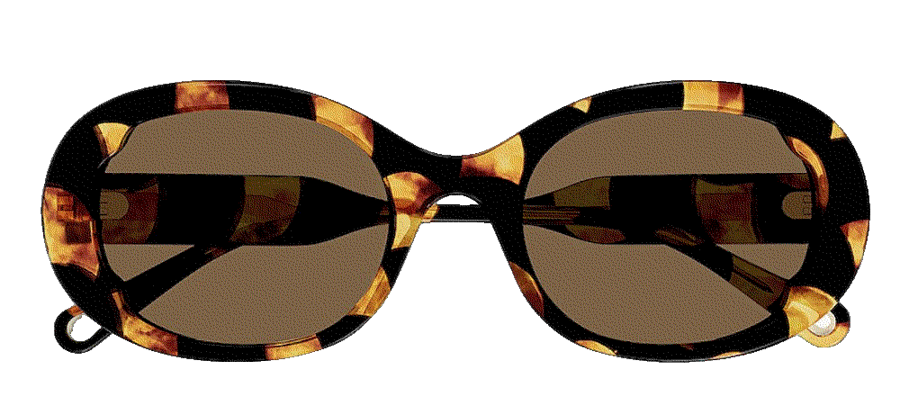 Chloe lilli oval sunglasses in shiny scalloped chlo havana black brown Chloe