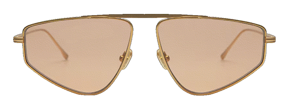 Elisa johnson riley sunglasses in gold Elisa Johnson