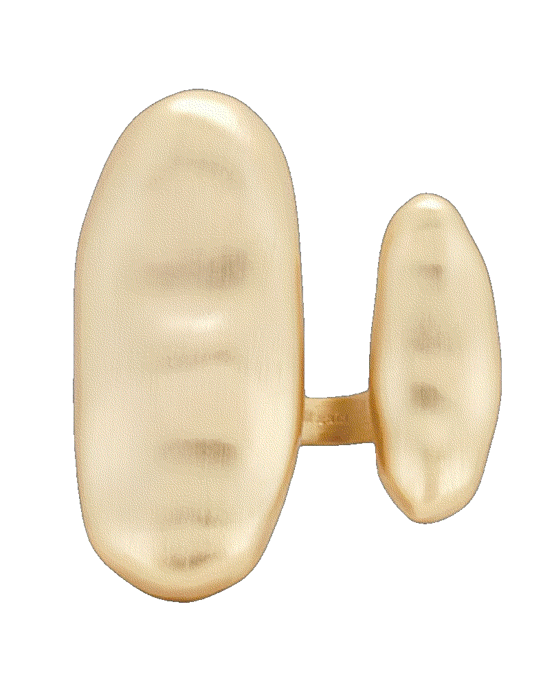 Cult gaia ami ring in brushed brass Cult Gaia 
