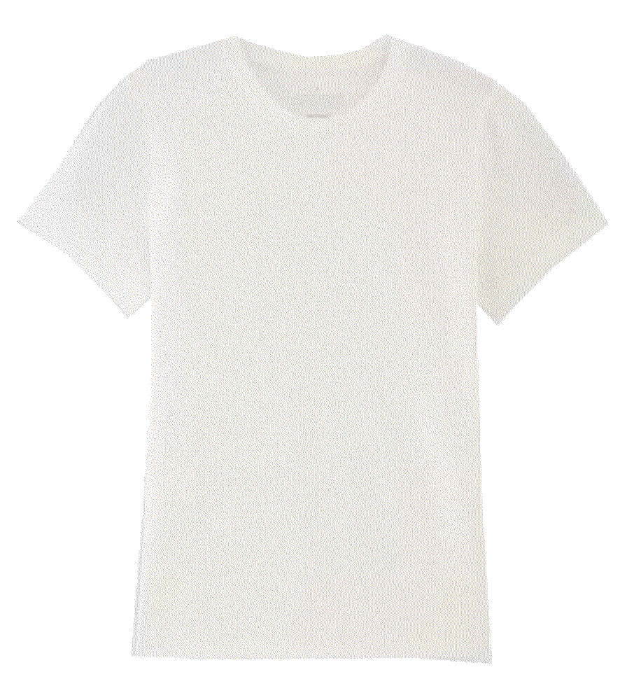 The Slim Crew in Essential Cotton Everlane