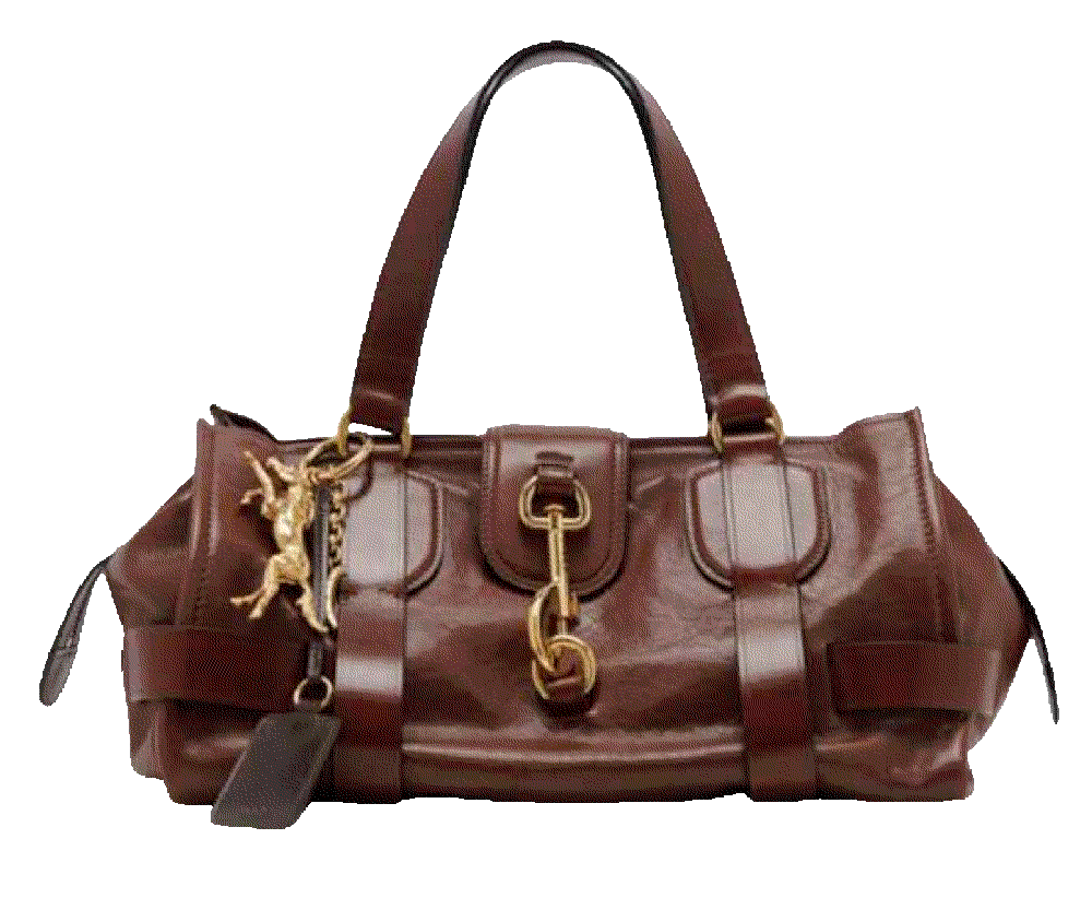 kerala 25 leather shoulder bag Chloe