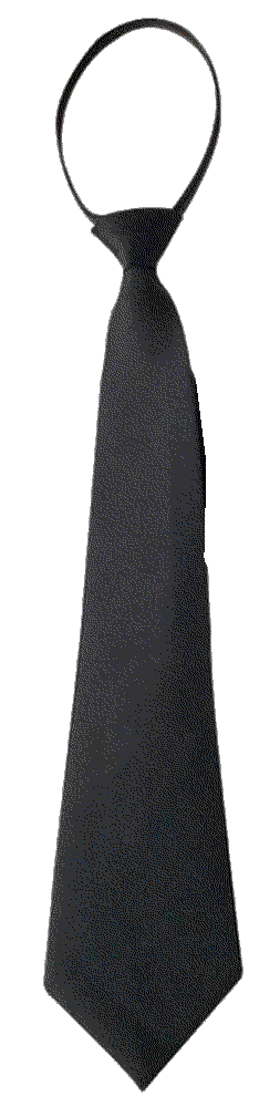 Womens Narrow Necktie with Zipper Adjustable Neck Tie  Harr
