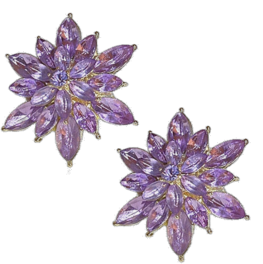 Guoxiaomei Crystal Flower Burst Stud Earrings Guoxiaomei