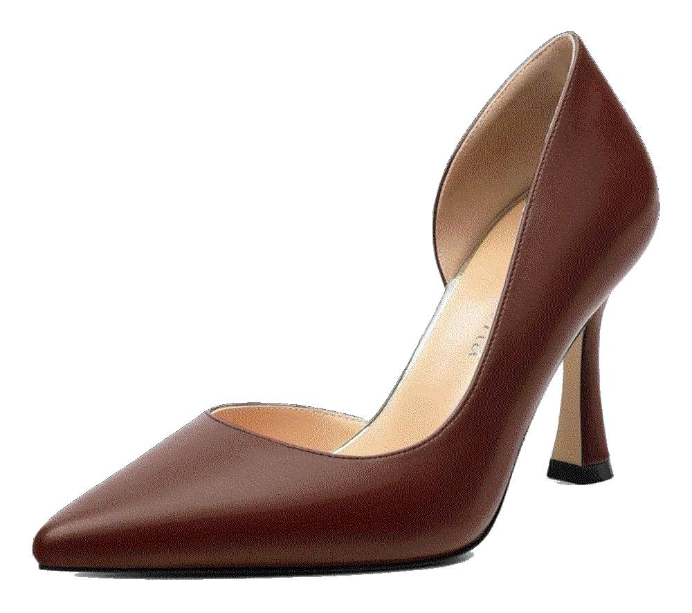 Closed Pointed Toe pumps Kayarevna