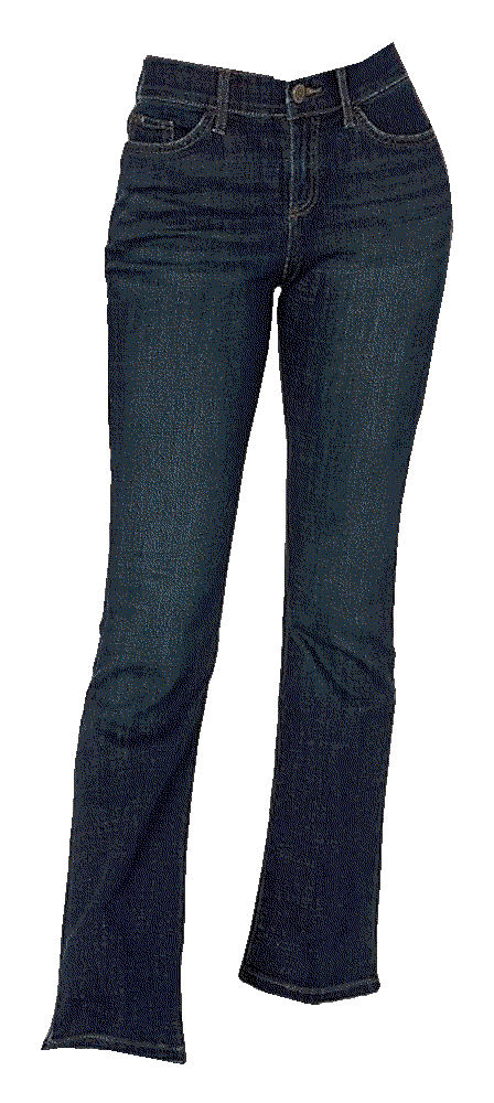 Lee womens regular bootcut renegade Lee