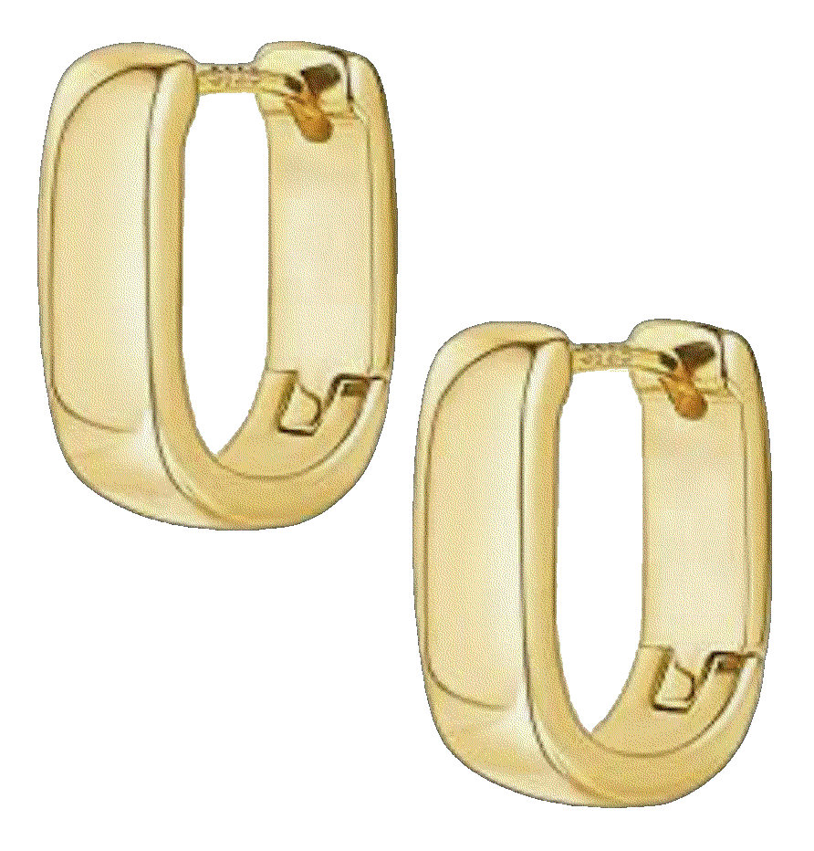Trendy Small chunky Hoop Earrings ALEXCRAFT 