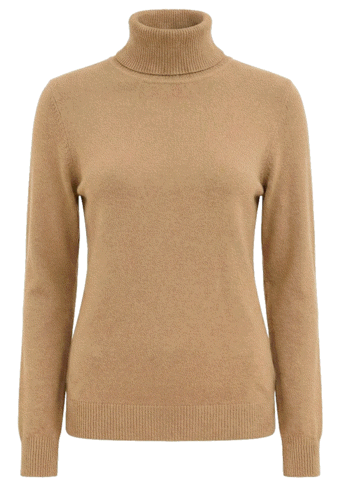 Turtleneck Sweaters Long Sleeve Knit Pullover Sweater DAIMIDY