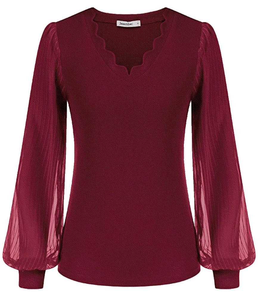 Elegant Scalloped V Neck Mesh tops Jasambac