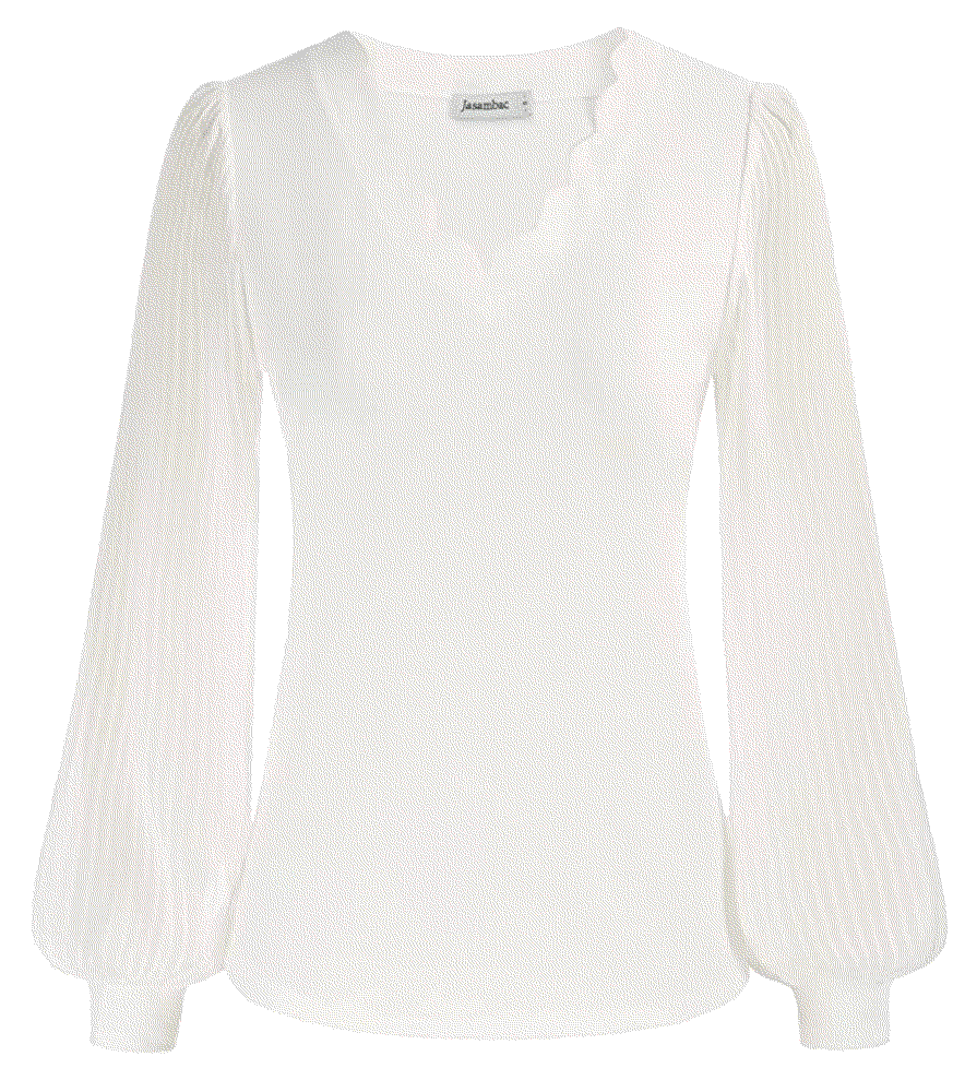 Elegant Scalloped V Neck Mesh Sheer Sleeve tops Jasambac