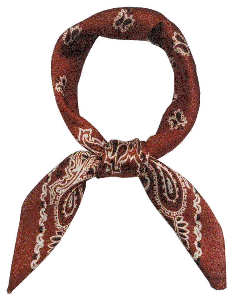 Silk Feeling Scarf Medium Square Satin Head Scarf  Fonyve