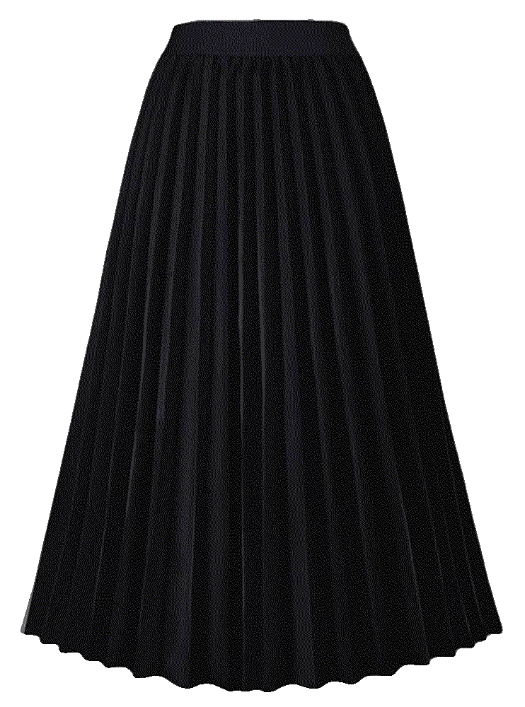 Goldstitch high waist pleated skirt Goldstitch
