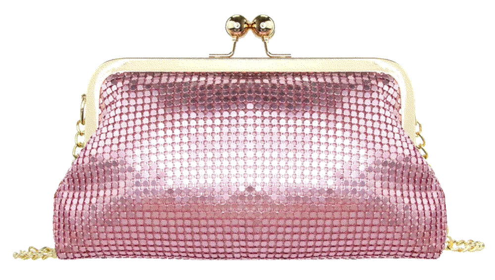 Fashion Evening Bag  Olivia Miller