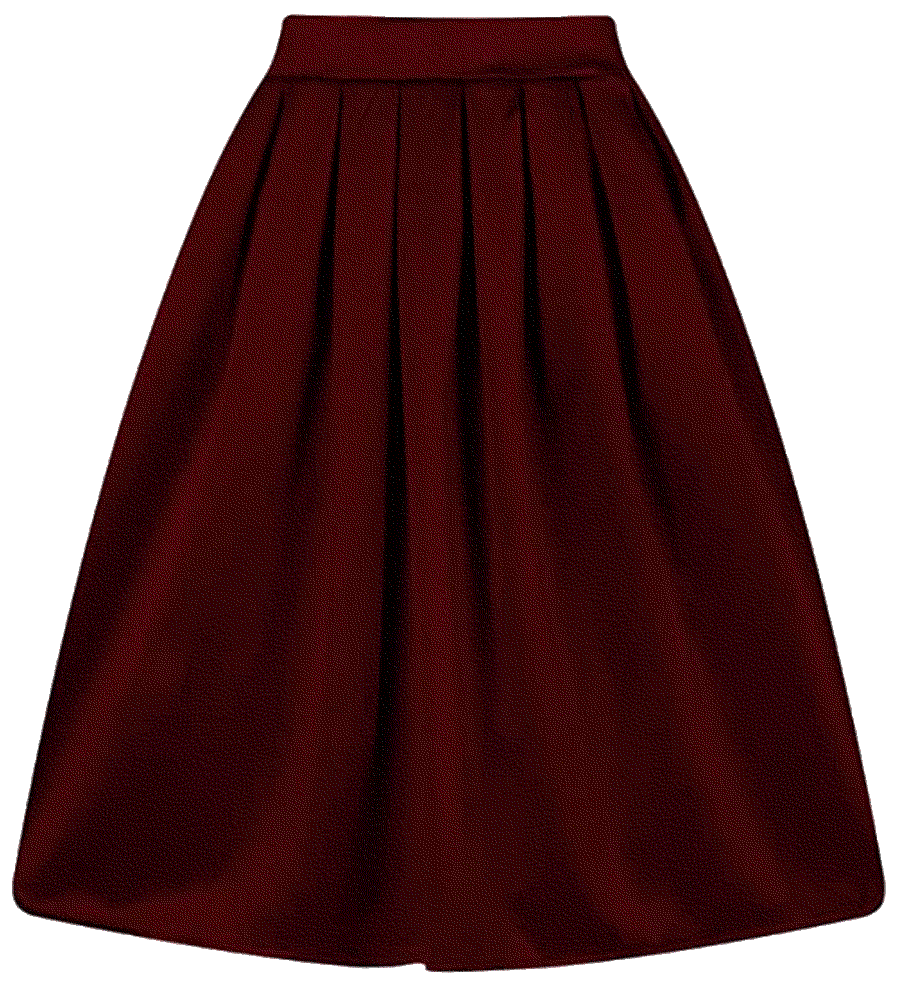 A-Line Pleated Vintage Skirts Taydey