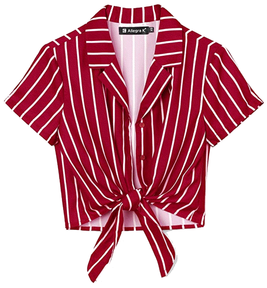 Striped Button Up Short Sleeve Tie Front Crop Shirt Allegra K