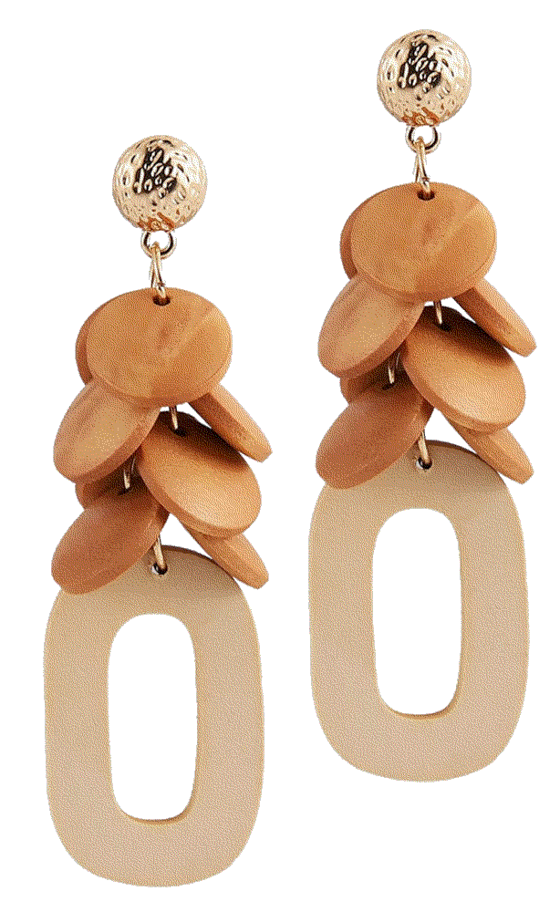 Stainless Steel Earrings Minimalist Retro Earring STWR