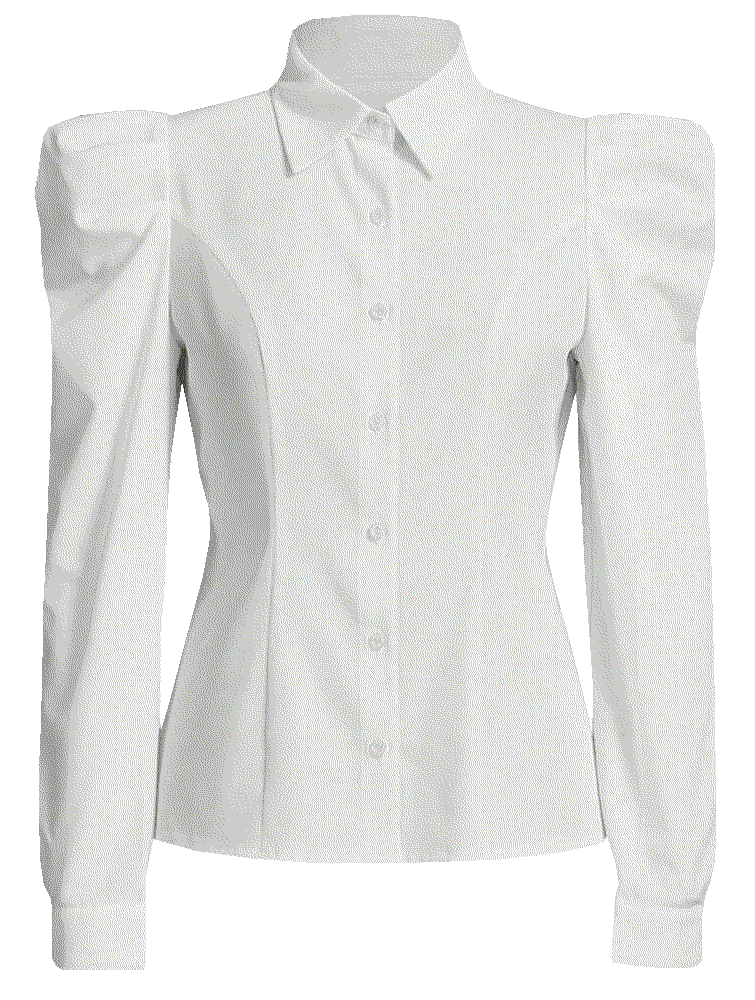 Elegant Puff Long Sleeve Collared Shirts Button Down Blouse Floerns
