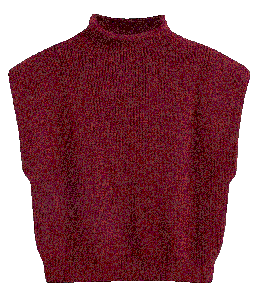 Sweater Vest Crop Top Cider