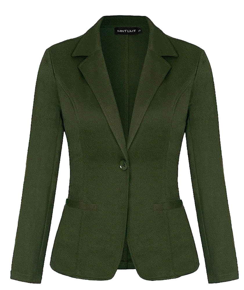 Casual Long Sleeve Button Front Blazer MintLimit