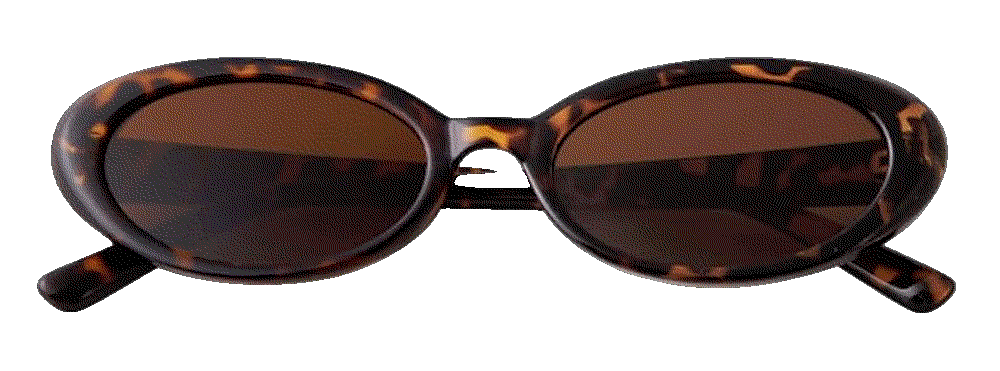 Retro Small Oval Sunglasses The Laurinny
