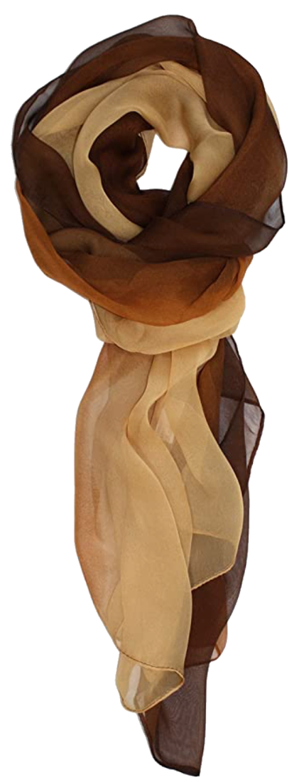 Silk Ombre Lightweight Accent Scarf Ted & Jack