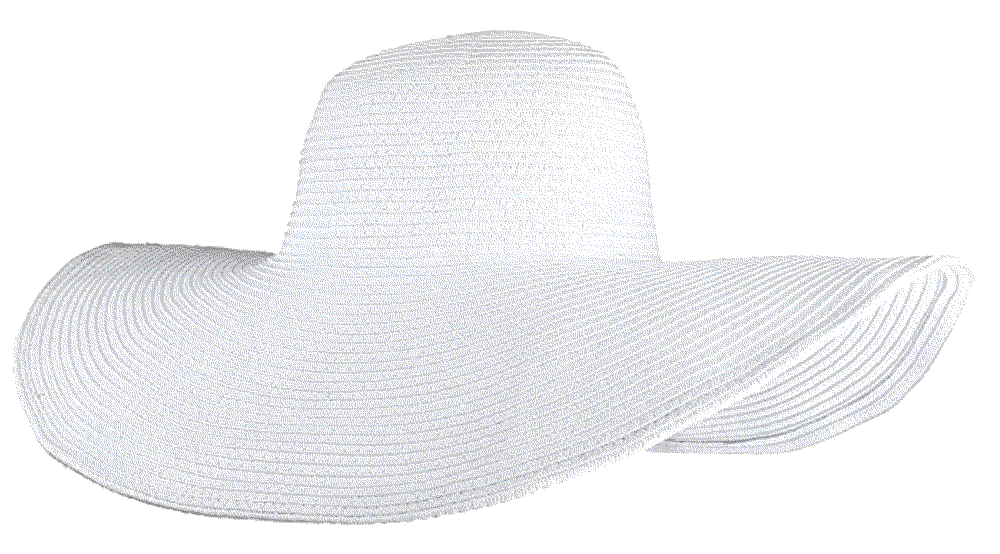 Wide Brim Straw Floppy Derby Hat Chic Diary