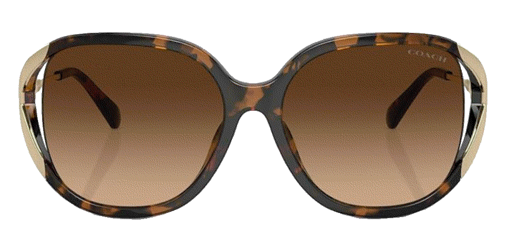 Universal Fit Square Sunglasses Coach
