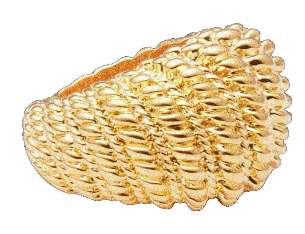 Gold-tone ring Zimmermann